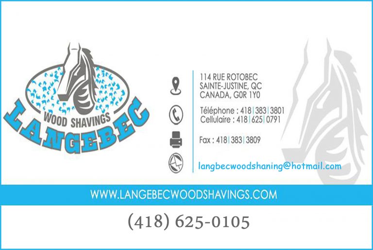 INDUSTRIE LANGEBEC INC