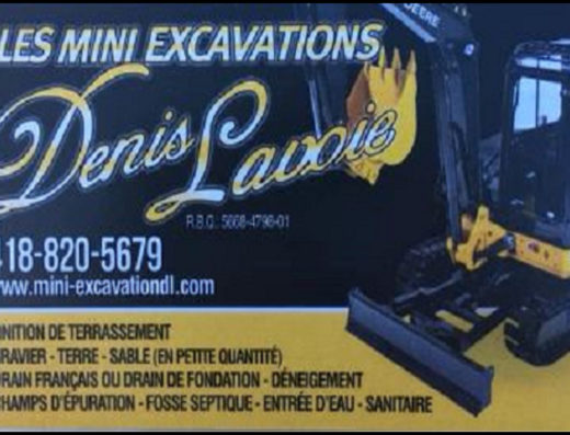 LES MINI-EXCAVATIONS DENIS LAVOIE