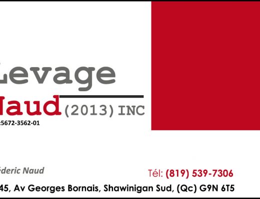 LEVAGE NAUD (2013) INC