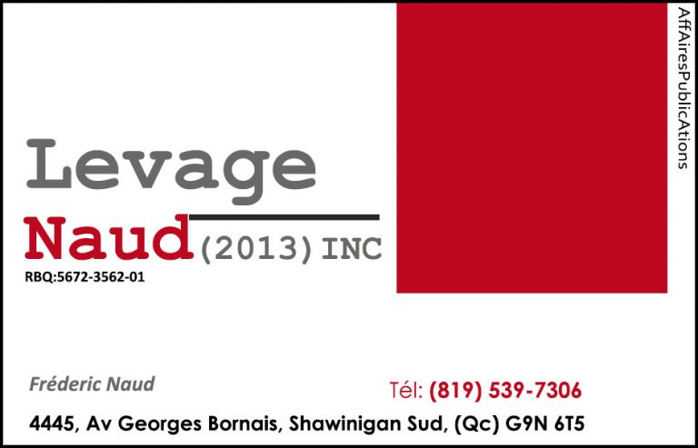 LEVAGE NAUD (2013) INC
