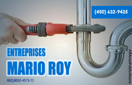 ENTREPRISES MARIO ROY