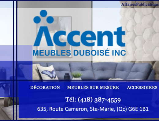 MEUBLES DUBOISÉ INC