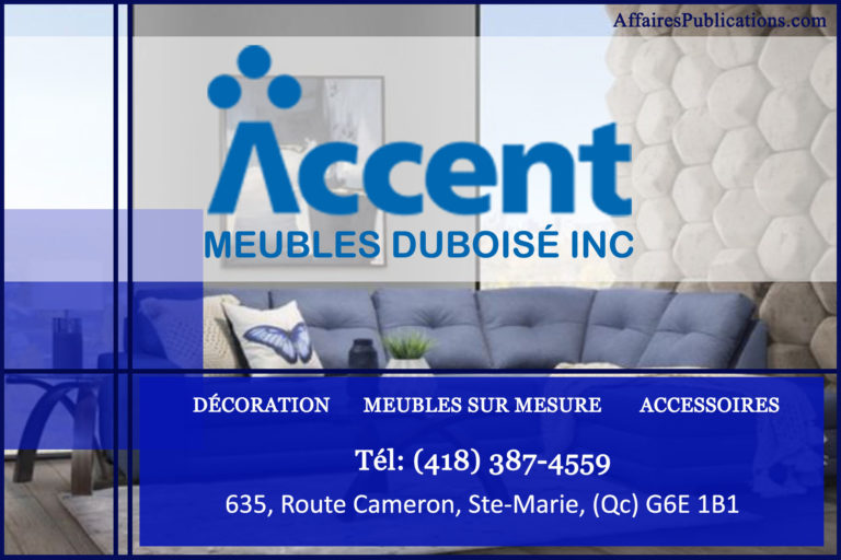 MEUBLES DUBOISÉ INC