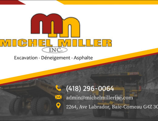MICHEL MILLER INC