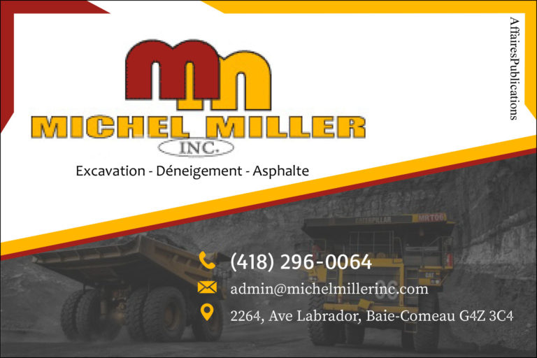 MICHEL MILLER INC