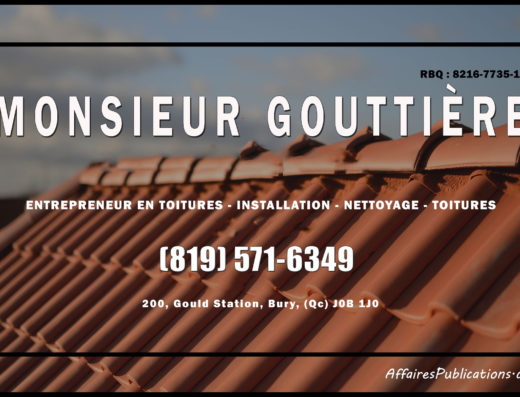 MONSIEUR GOUTTIÈRE