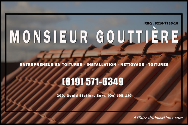 MONSIEUR GOUTTIÈRE