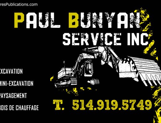 PAUL BUNYAN SERVICE INC