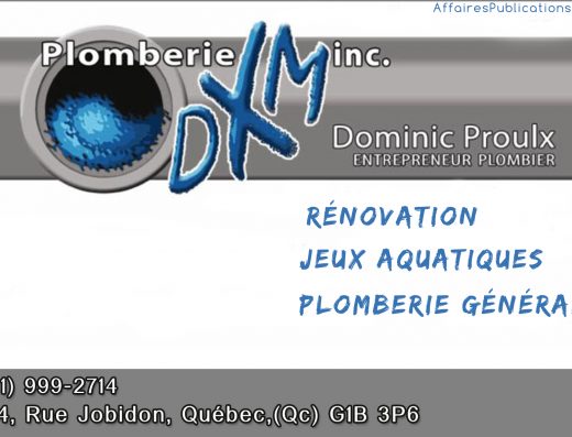 PLOMBERIE DXM INC