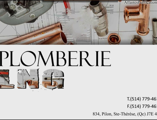 PLOMBERIE LNG INC