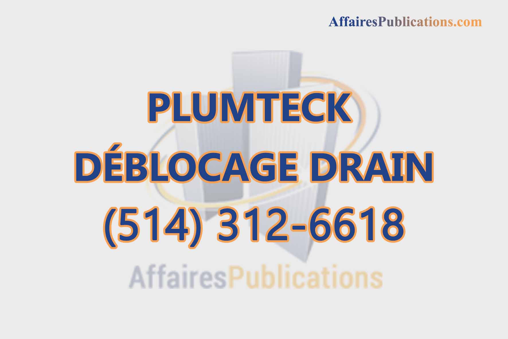 PLUMTECK DÉBLOCAGE DRAIN
