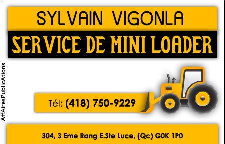 SYLVAIN VIGONLA SERVICE DE MINI LOADER