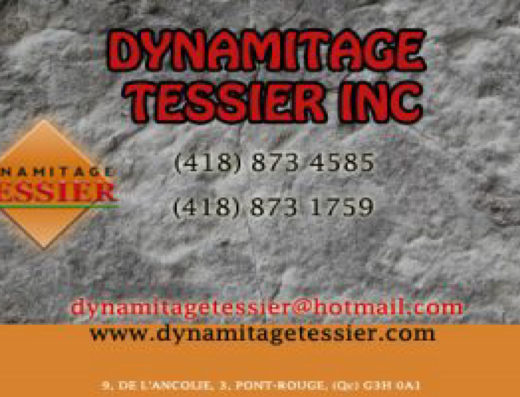 DYNAMITAGE TESSIER INC