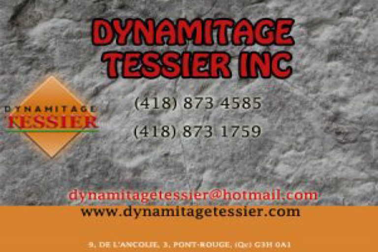 DYNAMITAGE TESSIER INC