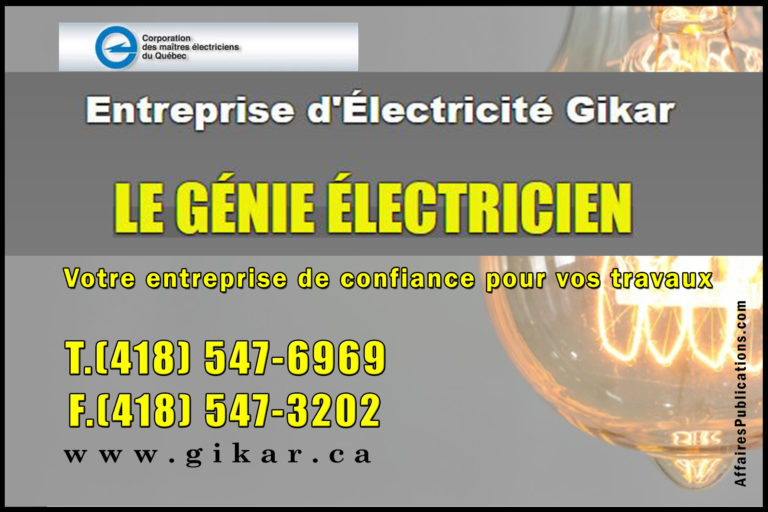 JASMIN & SYLVAIN ENTREPRENEURS PEINTRES INC