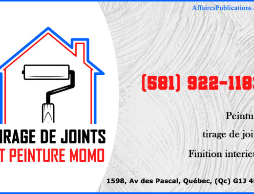 TIRAGE DE JOINTS ET PEINTURE MOMO