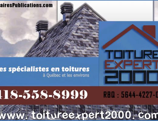 TOITURE EXPERT 2000