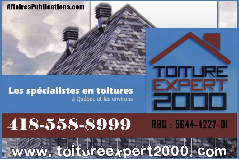 TOITURE EXPERT 2000