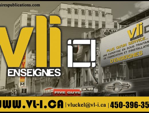 V.L.I. INC