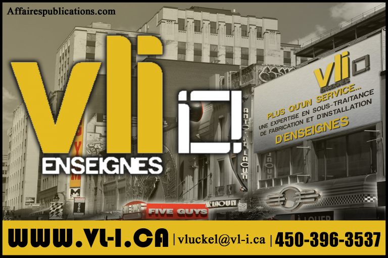 V.L.I. INC