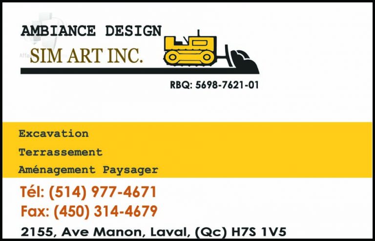 AMBIANCE DESIGN SIM ART INC