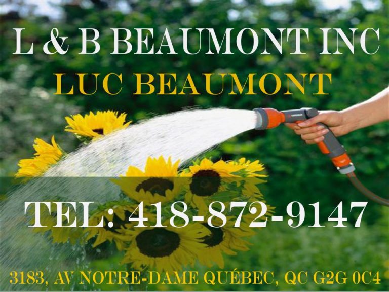 L & B BEAUMONT INC