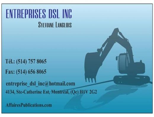 ENTREPRISES DSL