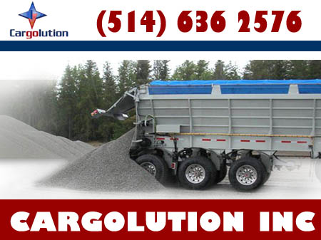 CARGOLUTION INC