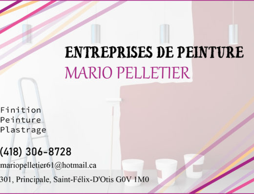 ENTREPRISES DE PEINTURE MARIO PELLETIER