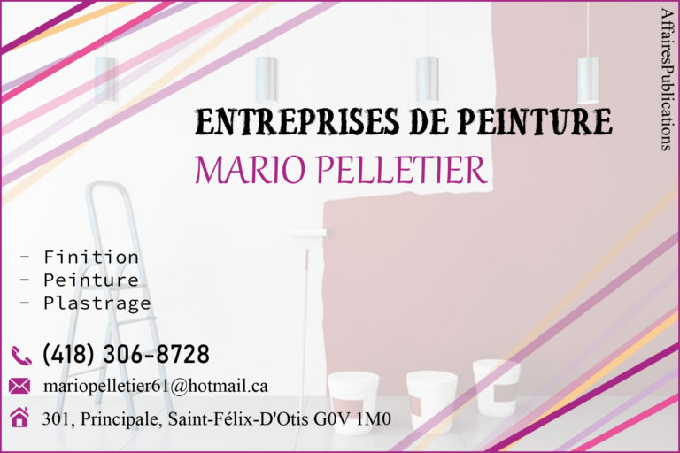 ENTREPRISES DE PEINTURE MARIO PELLETIER