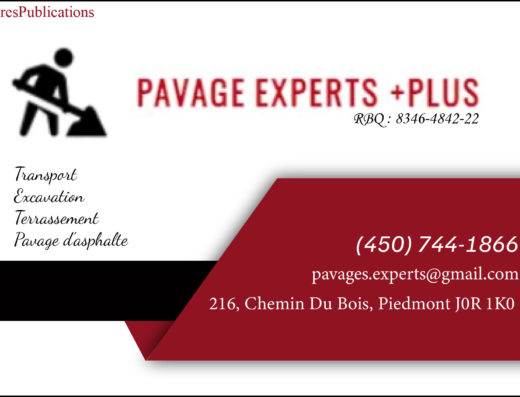 PAVAGES EXPERT PLUS INC