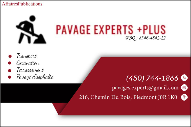 PAVAGES EXPERT PLUS INC