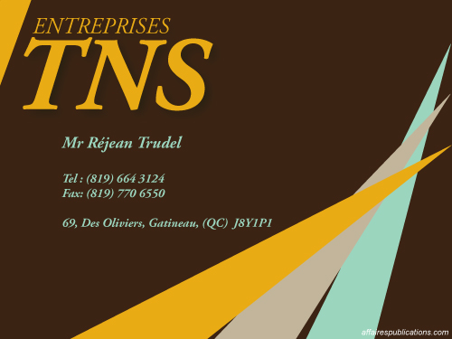 ENTREPRISES TNS