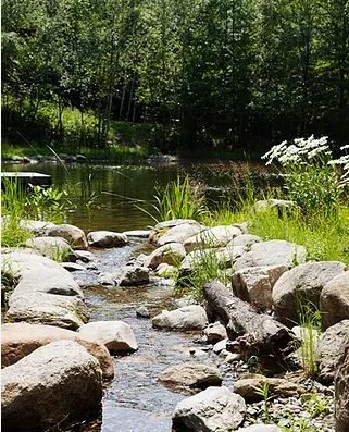 SYMBIOSE PAYSAGE