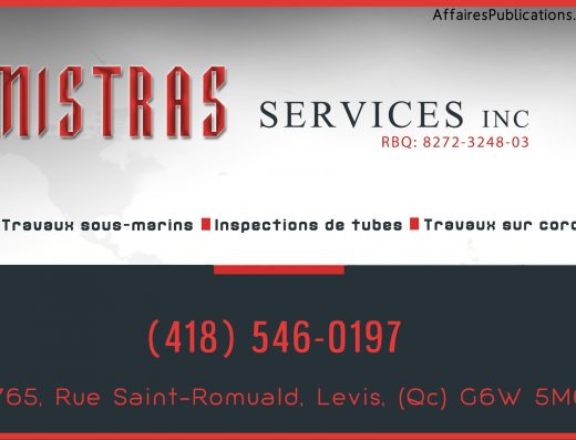 MISTRAS SERVICES INC