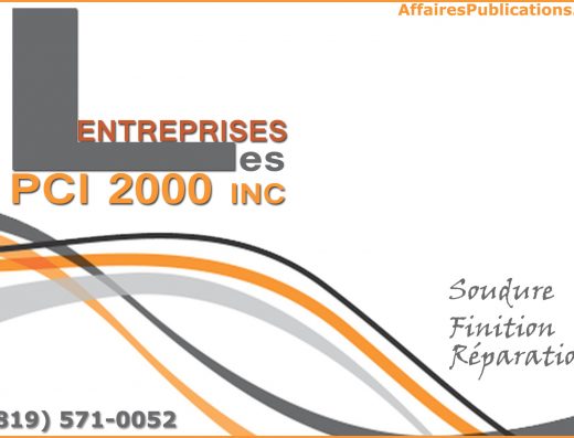 LES ENTREPRISES PCI 2000 INC