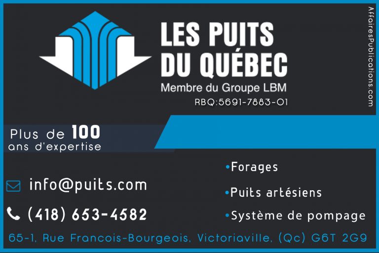 LES PUITS DU QUÉBEC INC