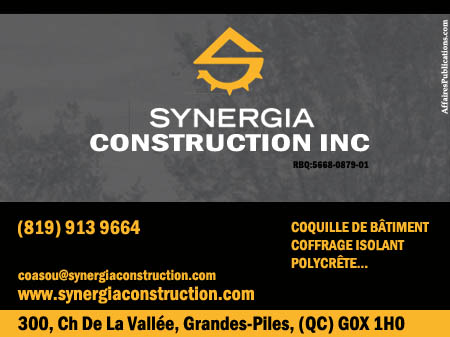 SYNERGIA CONSTRUCTION INC
