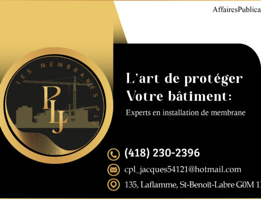 LES SYSTÈMES INTÉRIEURS PLJ CONSTRUCT-ART INC