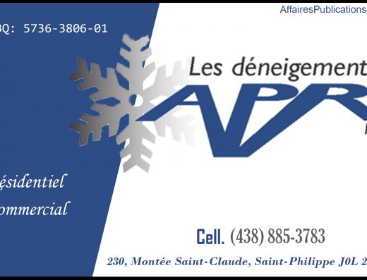 DÉNEIGEMENT APR INC