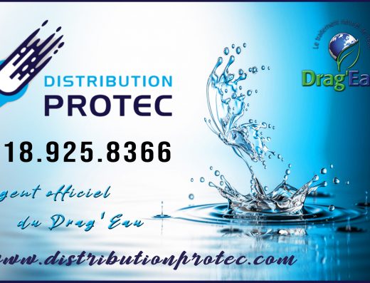 DISTRIBUTION PROTEC INC