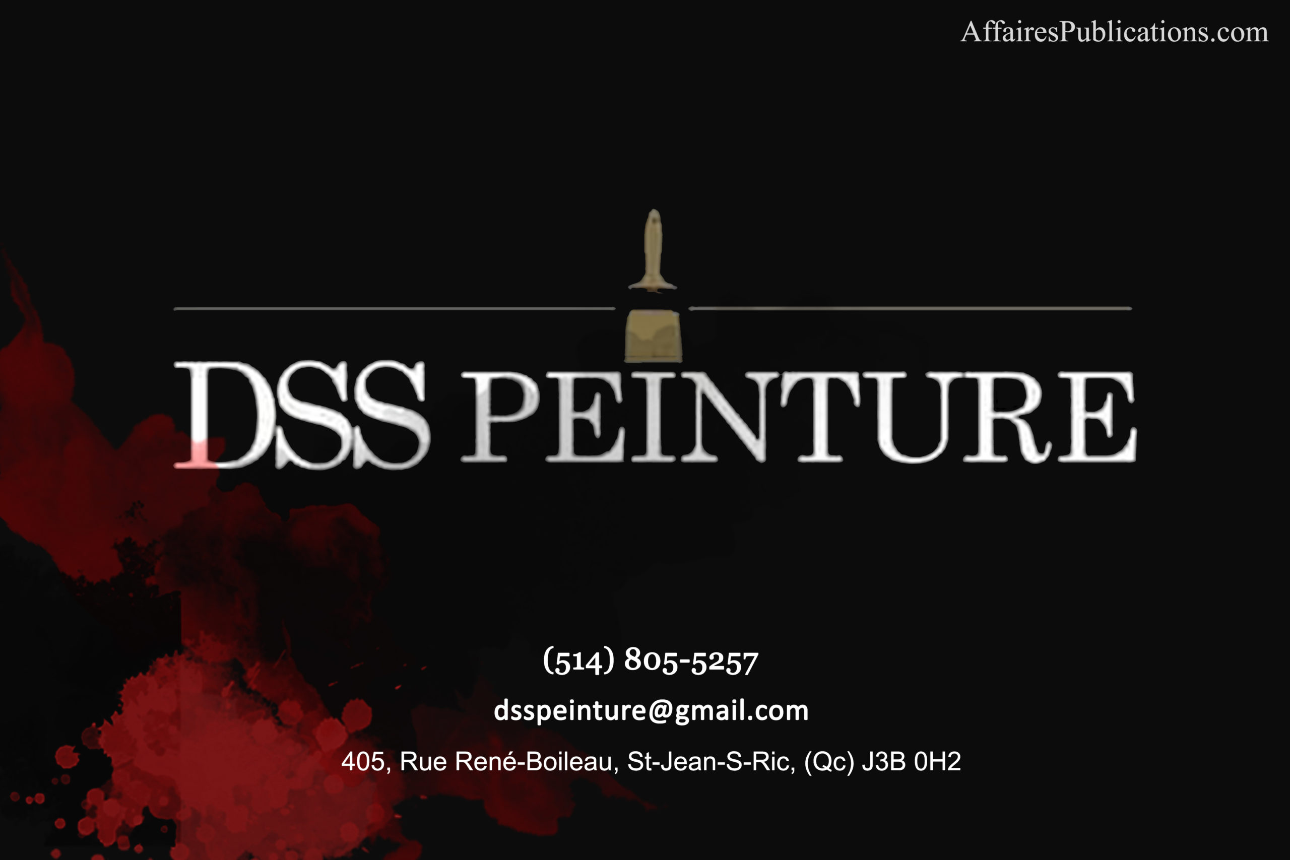 DSS PEINTURE INC