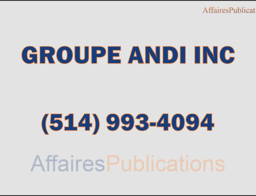 GROUPE ANDI INC