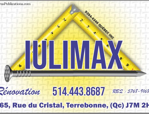 IULIMAX INC
