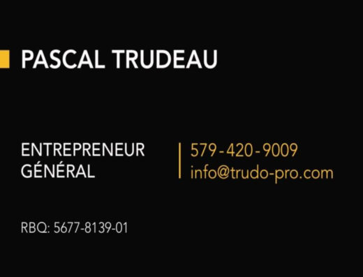 TRUDO-PRO INC