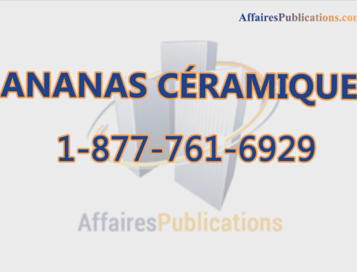 ANANAS CÉRAMIQUE