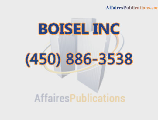 BOISEL INC