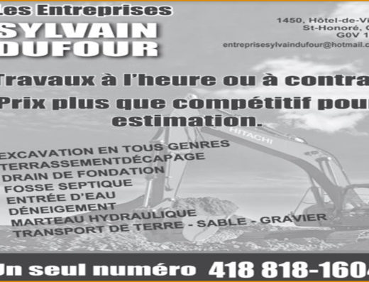 ENTREPRISE SYLVAIN DUFOUR INC