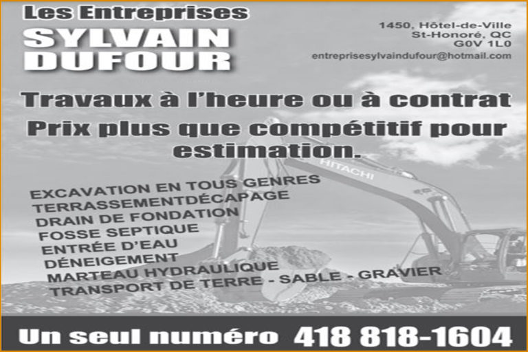 ENTREPRISE SYLVAIN DUFOUR INC