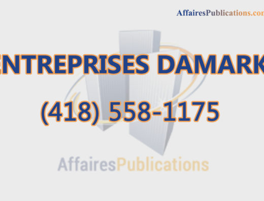 ENTREPRISES DAMARK INC